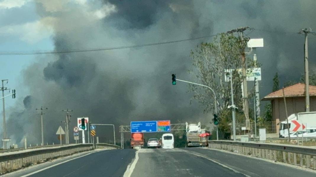 Tekirdağ'da anız yangını fabrikaya sıçradı 4